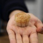 Vegan Caramel Apple Cupcakes